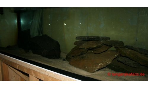Schaubecken 900l 1